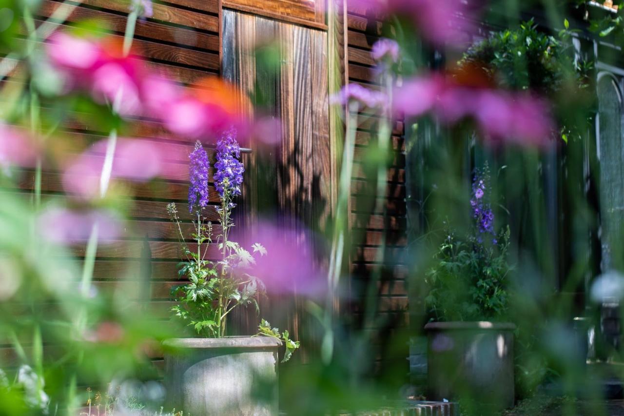 Beeltjens B&B: Wolf&Belle Westerlo Ngoại thất bức ảnh